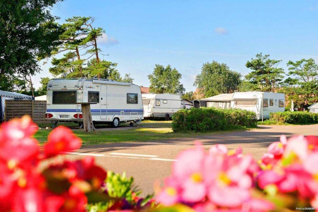 First Camp Tylösand — Campingplads in Halmstad
