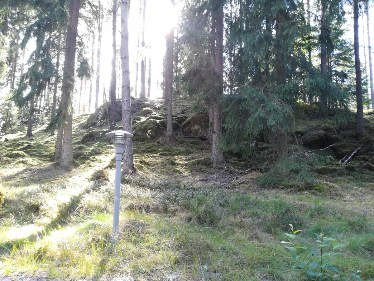 Hoks Naturcamping — Camping in Hok