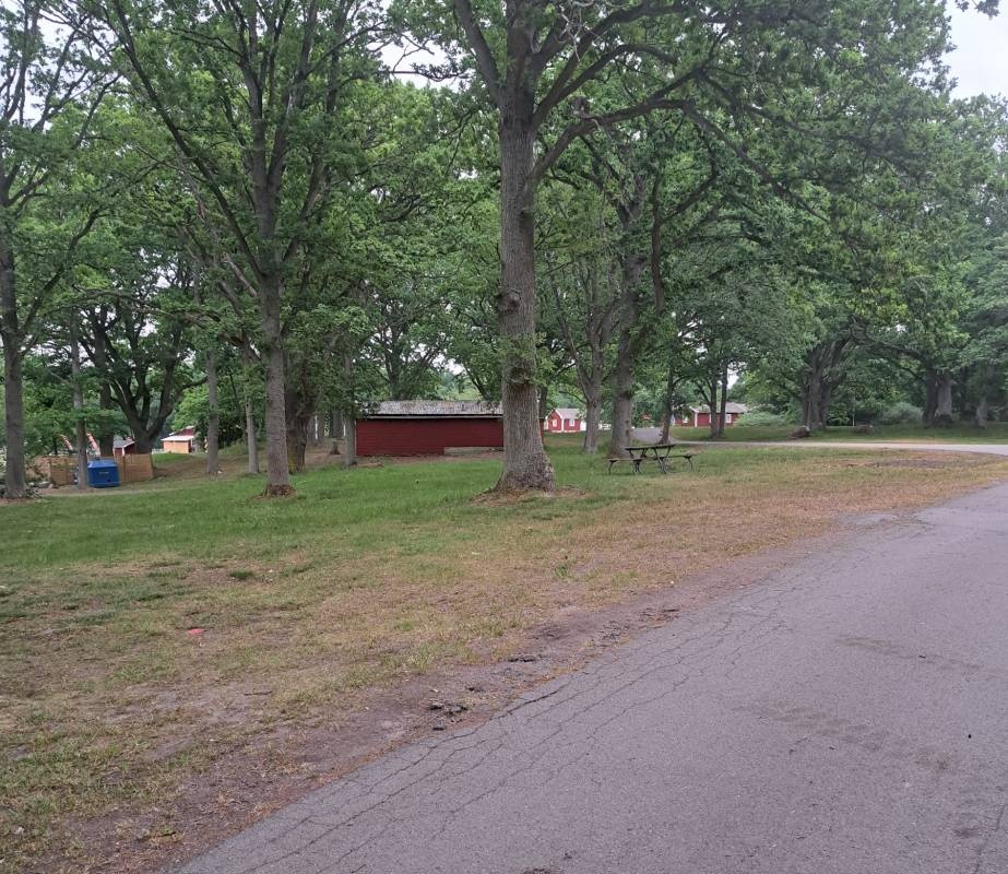 First Camp Stensö – Kalmar — 露营地 in Kalmar