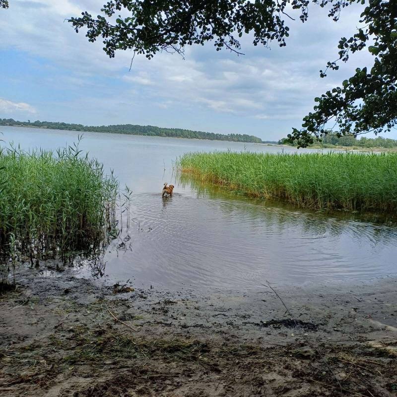 Sturkö Camping — Cámping in Sturkö