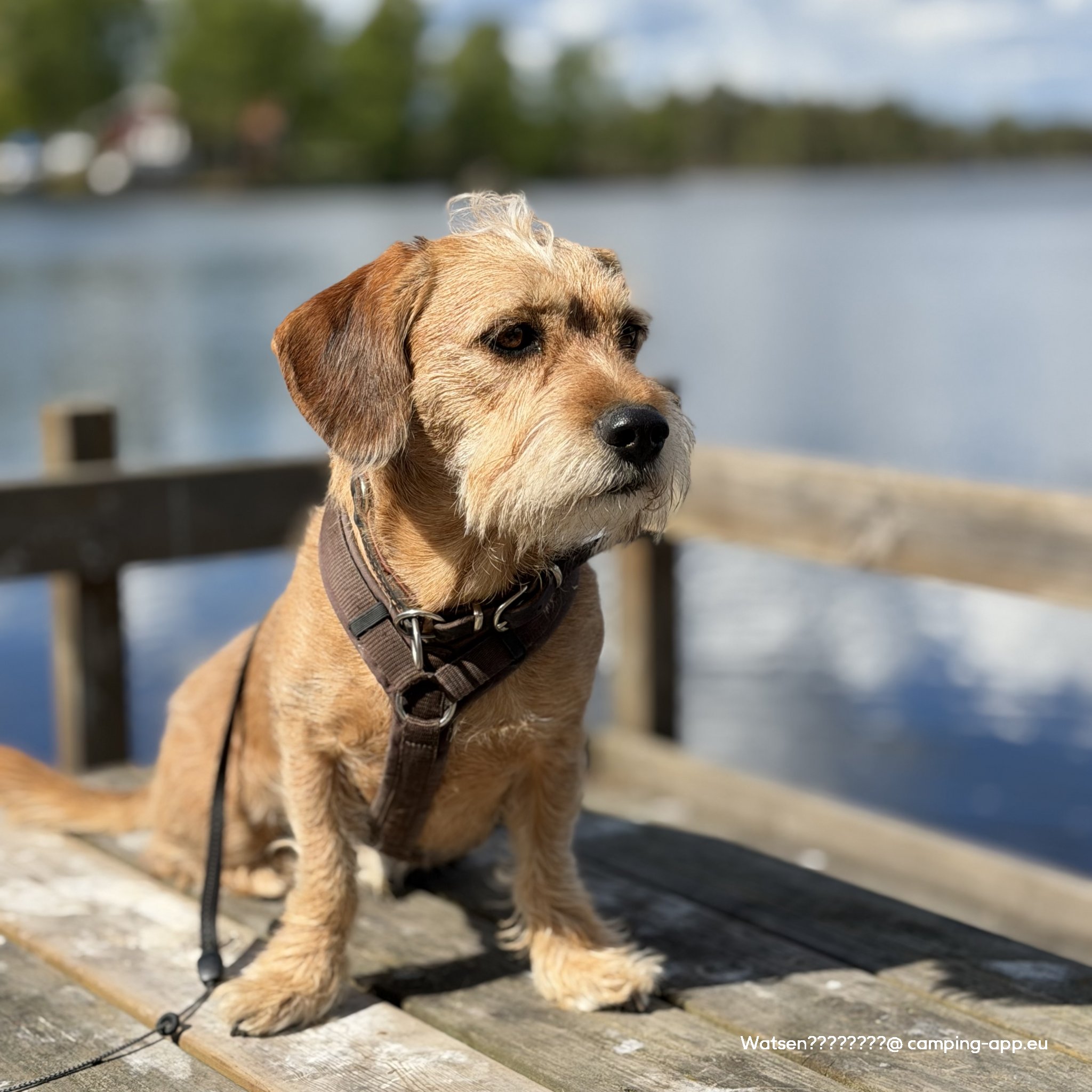 Eksjö Camping — Fotografie 3