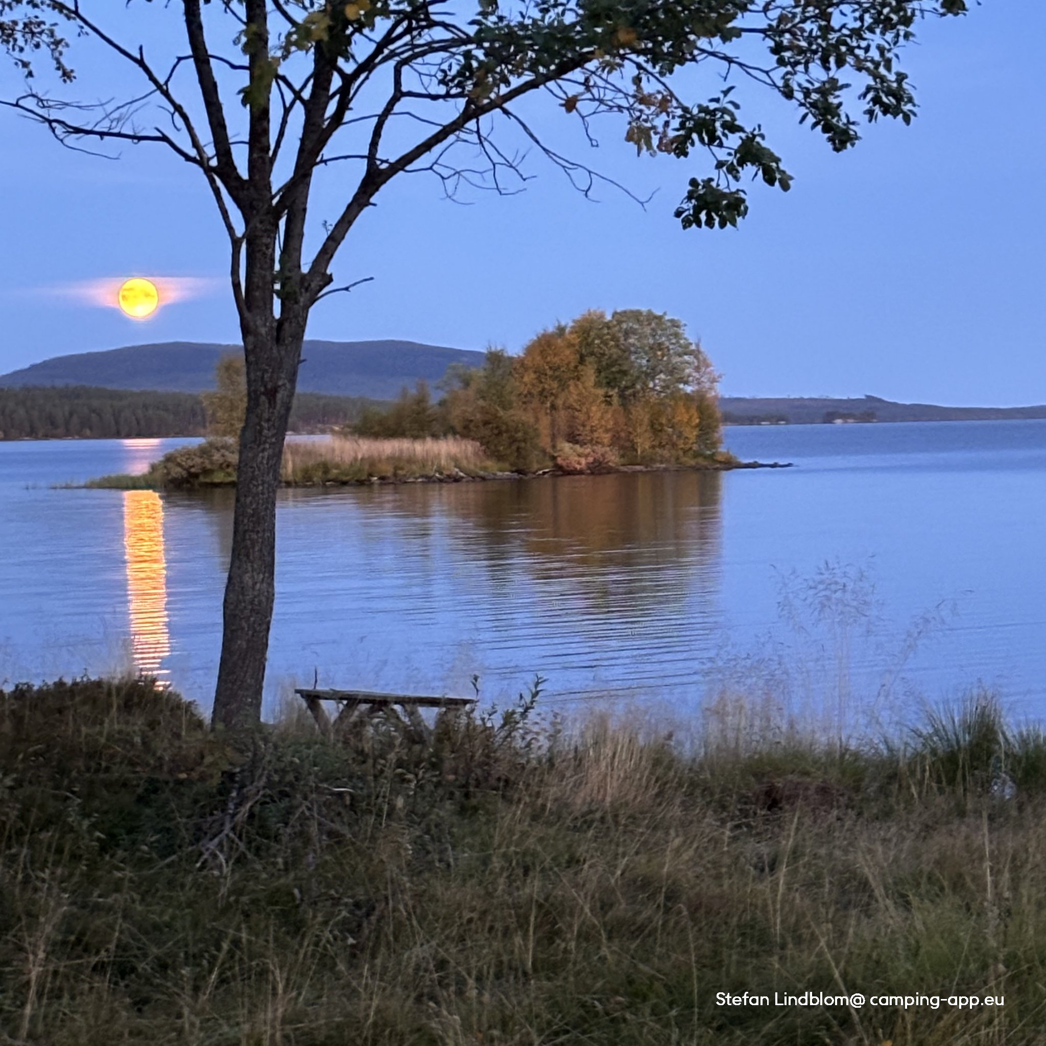Lofsdalen Camping — Foto 4