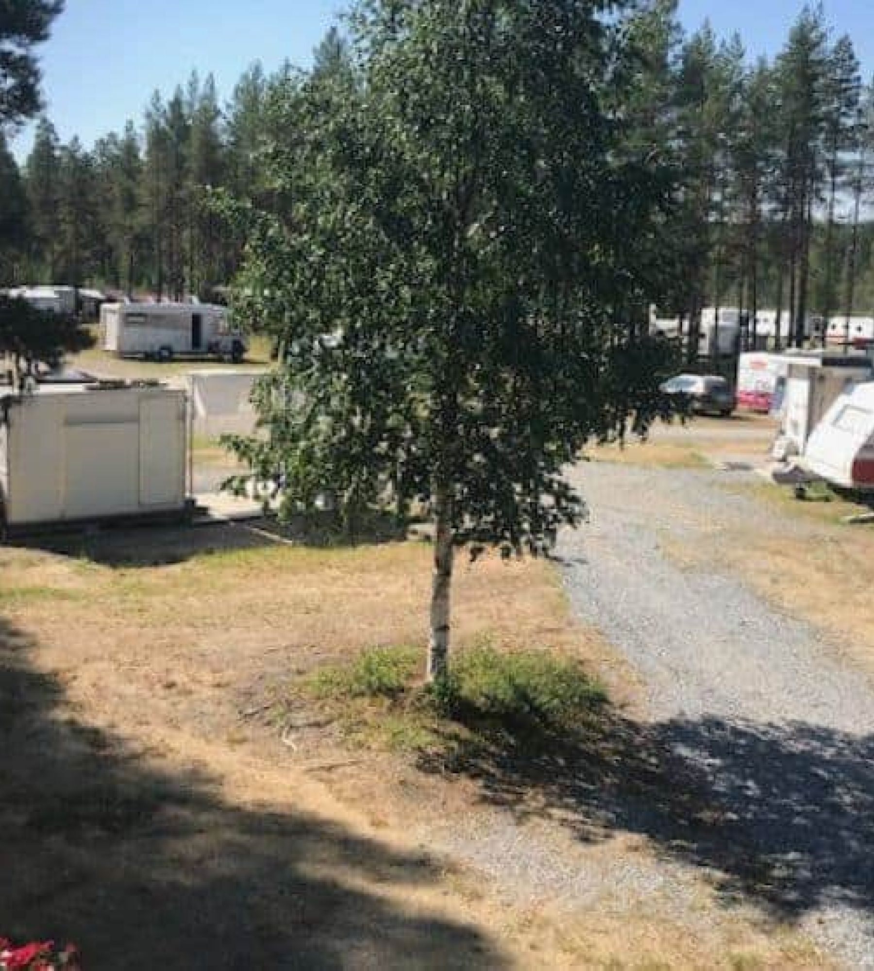 Angsjöns Camping — Cámping in Bjurholm
