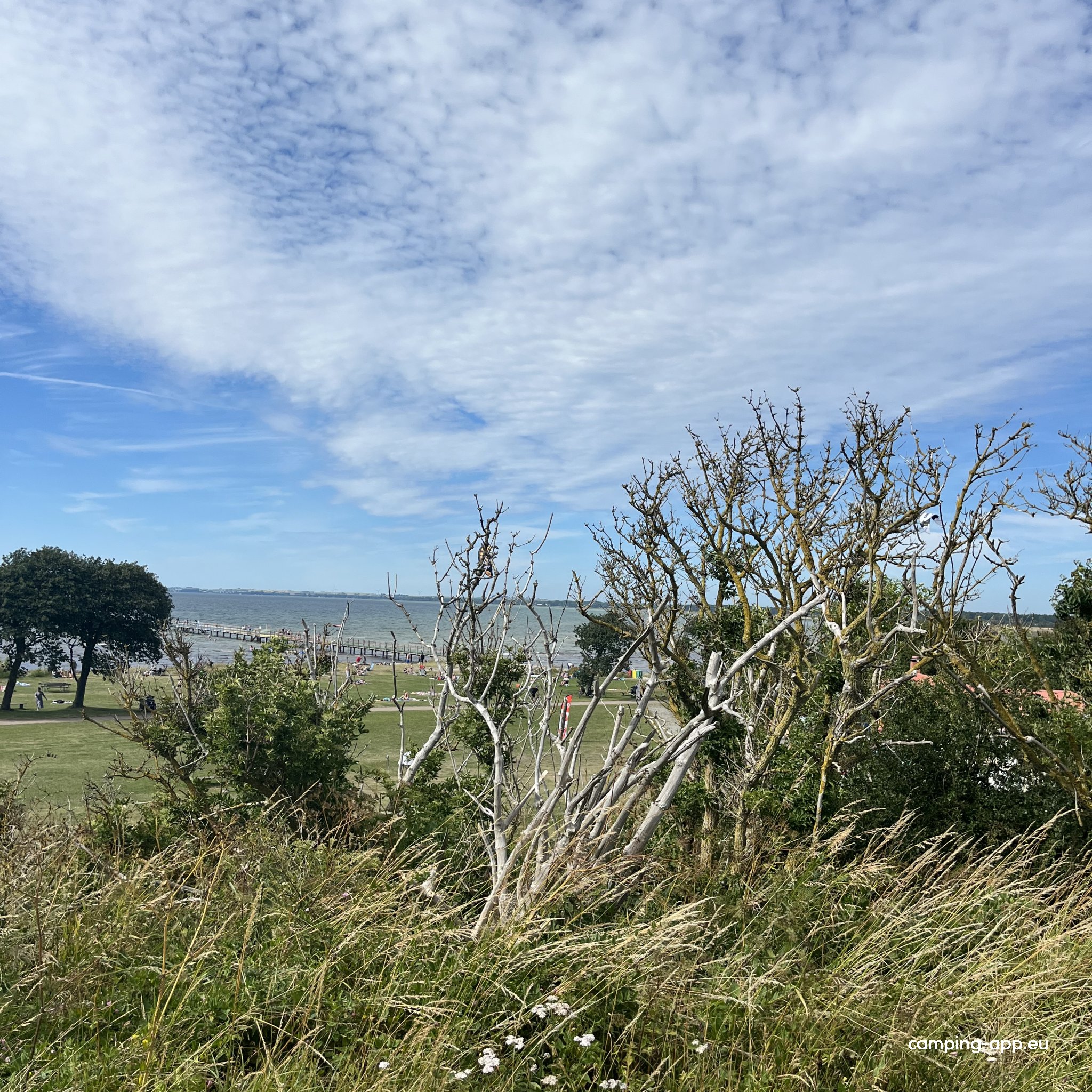 Barsebäckstrand Camping — Foto 3