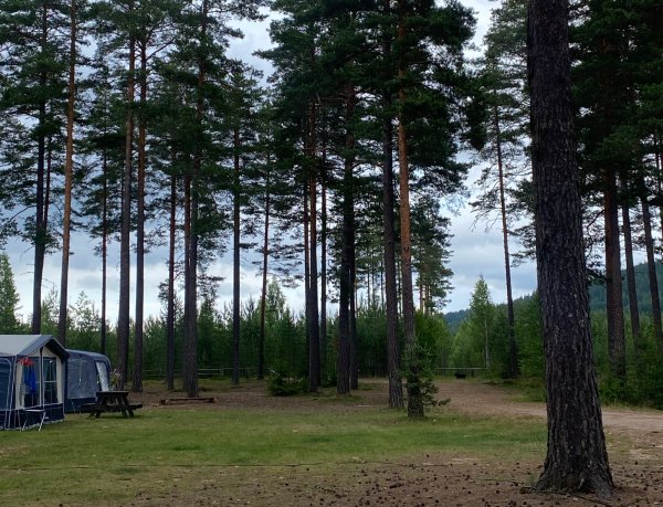 Naturcamping Lagom — Photo 2