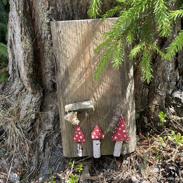 Naturcamping Lagom — Foto 2