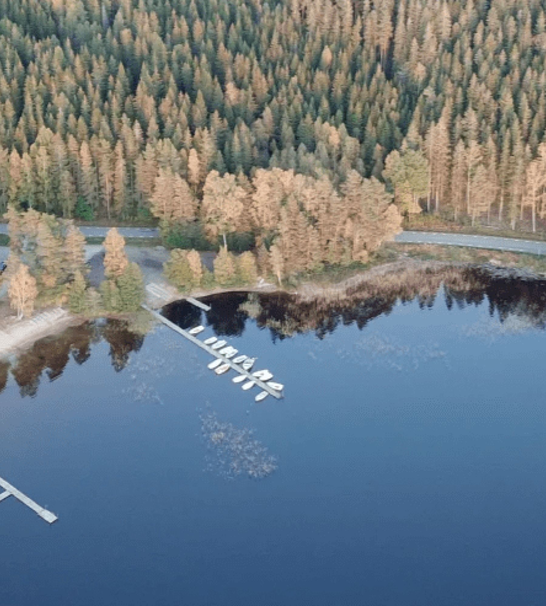 Gnosjö Camping — Sítio de acampamento in Gnosjö