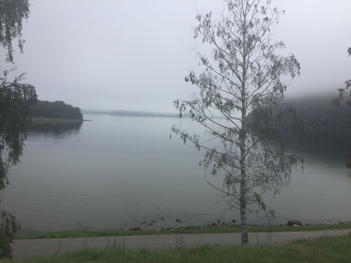 Hafsten Resort ***** — Campingplads in 451 96 Uddevalla