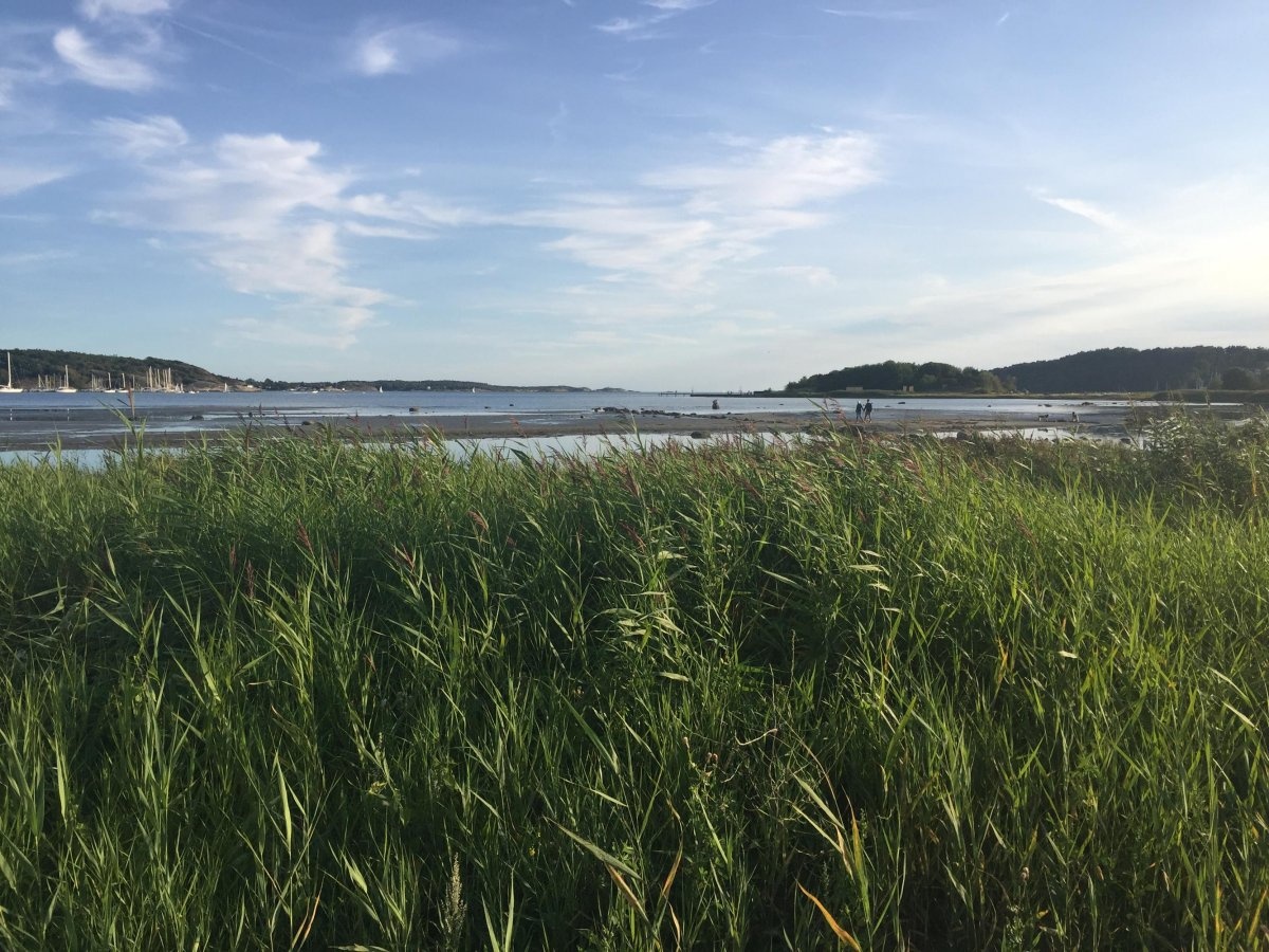 Lisebergs Camping Askim Strand — Campingplads in Askim