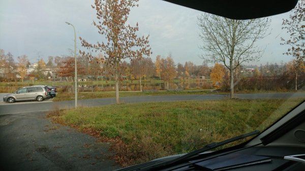 Stellplatz am Fischhofpark — Photo 2