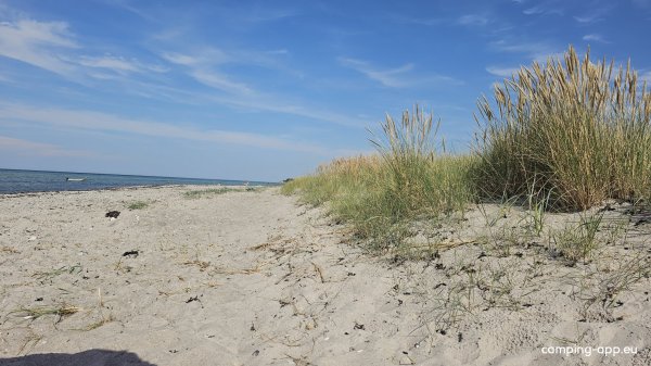 Fjellerup Strandcamping — Zdjęcie 2