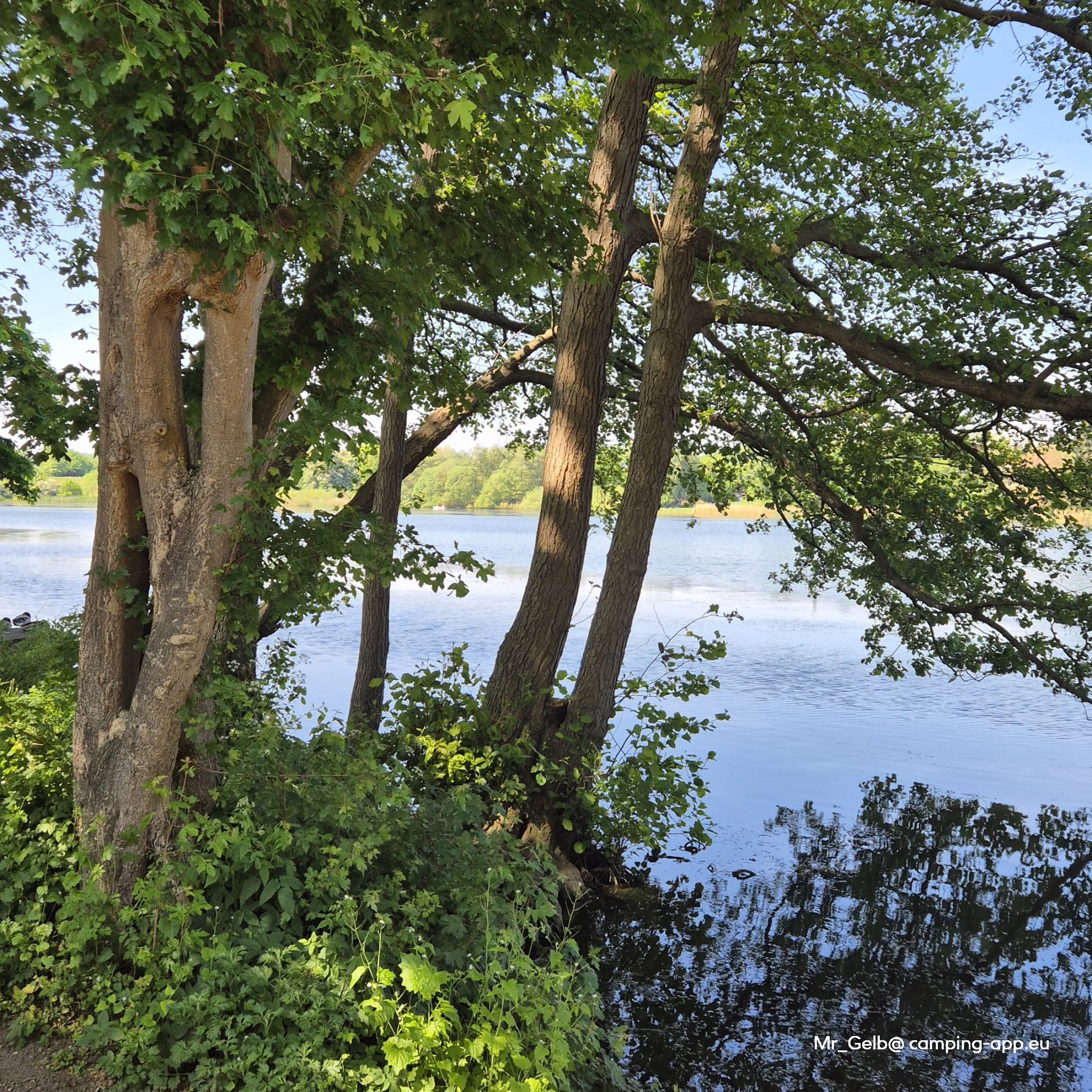 Stellplatz am Waldschwimmbad Lensahn — Photo 4