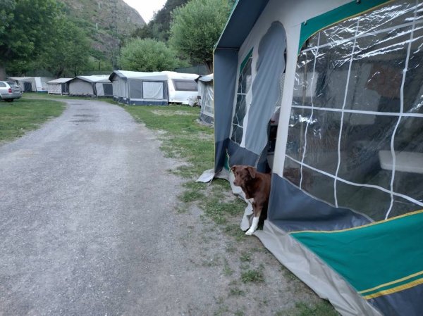 Camping Casal — Photo 2