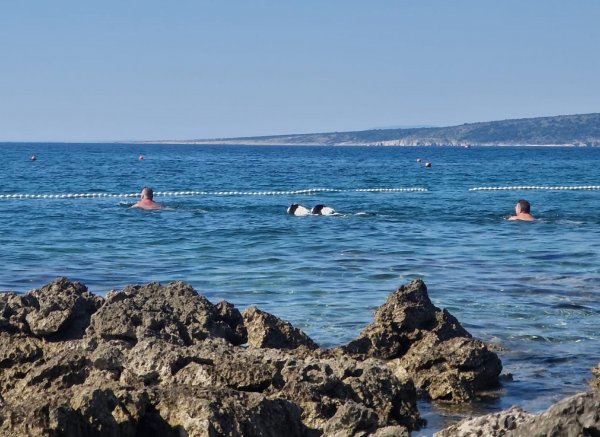 Valamar Camping Ježevac **** — Photo 4