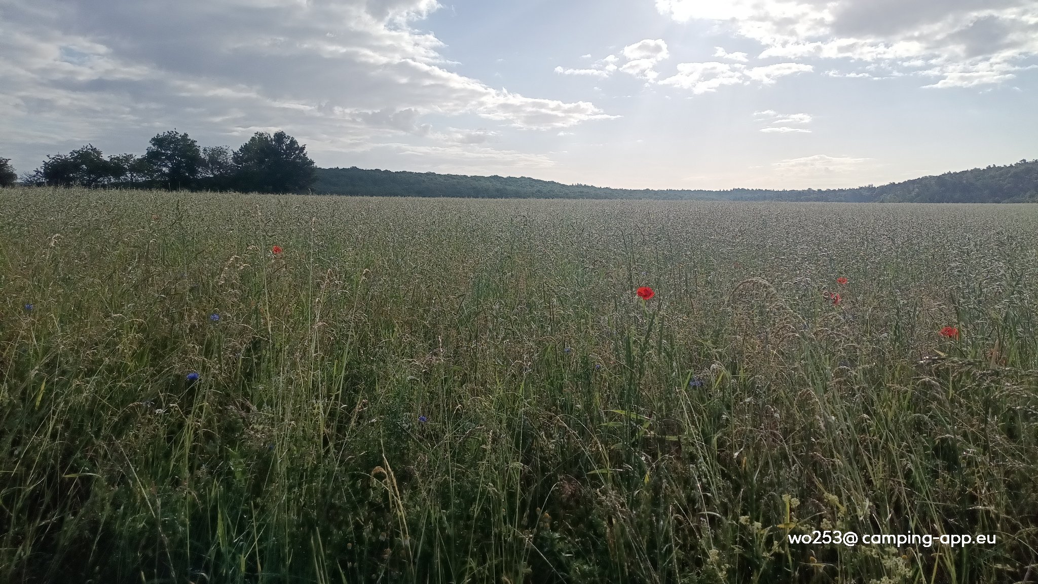 Naturcamp Thulba — Zdjęcie 2