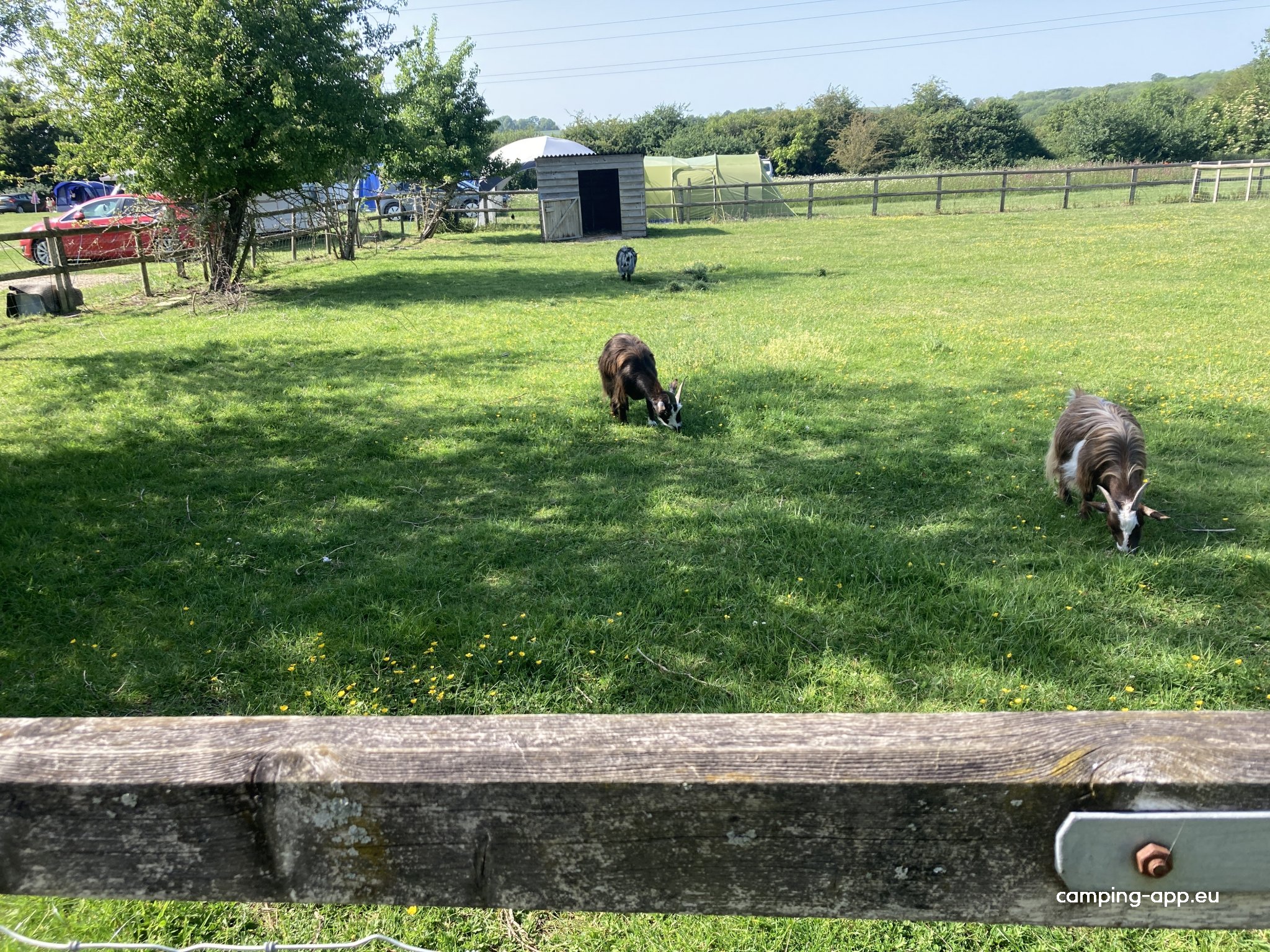 Valley Farm Campsite — Photo 4