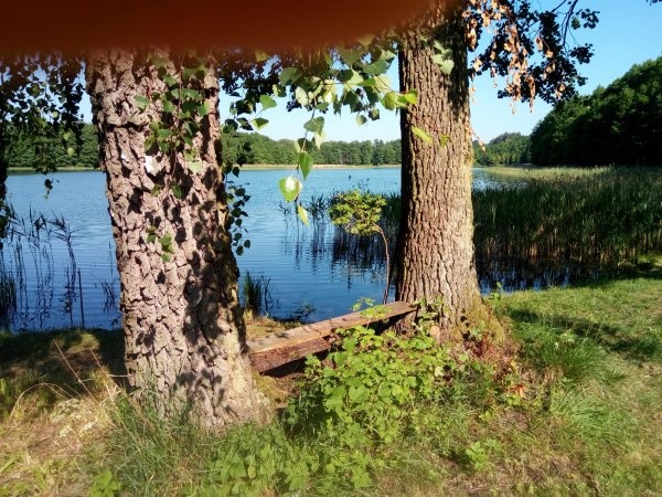 Camping Dluzek — Kemping in Jedwabno