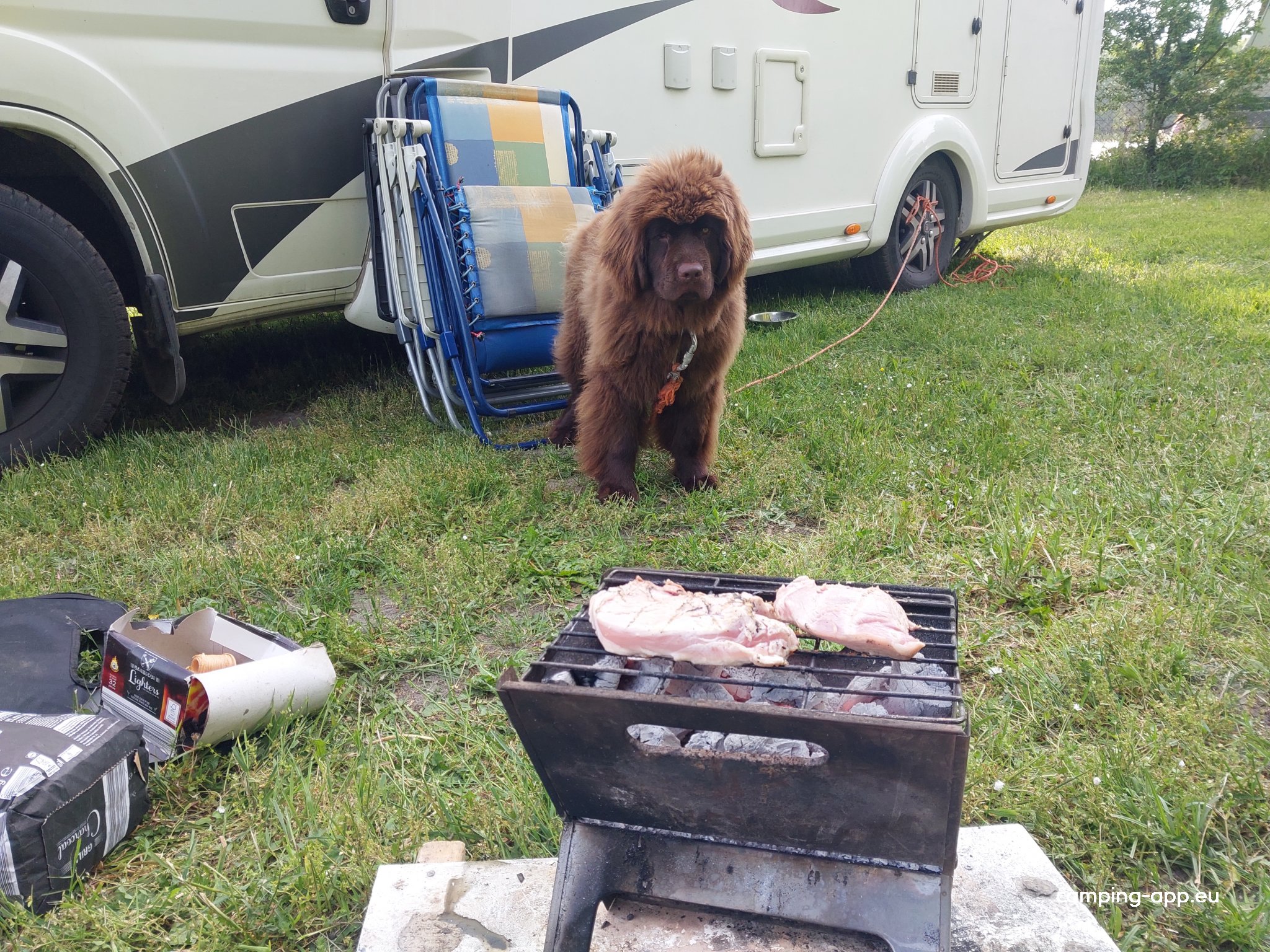 Camping Dluzek — Photo 4
