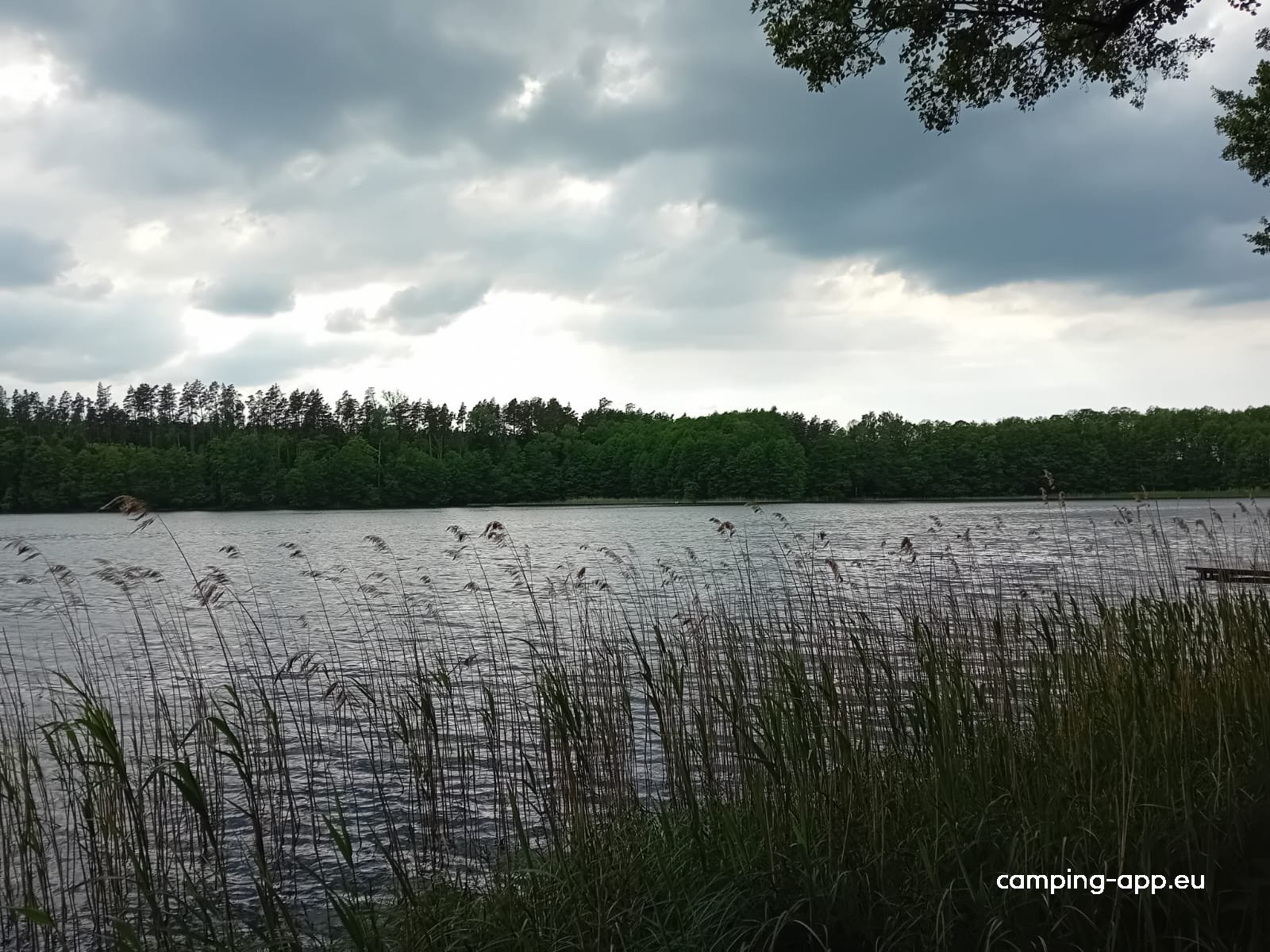 Camping Dluzek — Photo 5