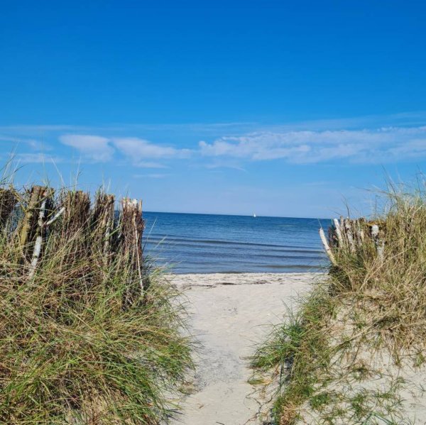 Stellplatz Schönberg Lamb Brasilien — Photo 6