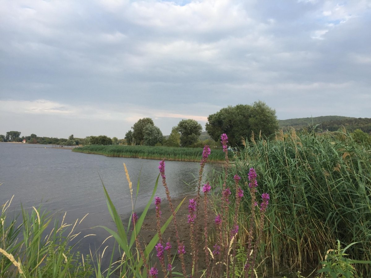 Seecamping Kelbra — Campingplats in Kelbra