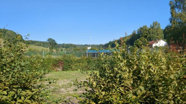Stellplatz Freizeitanlage Heigenbrücker Weg Rothenbuch — Photo 6