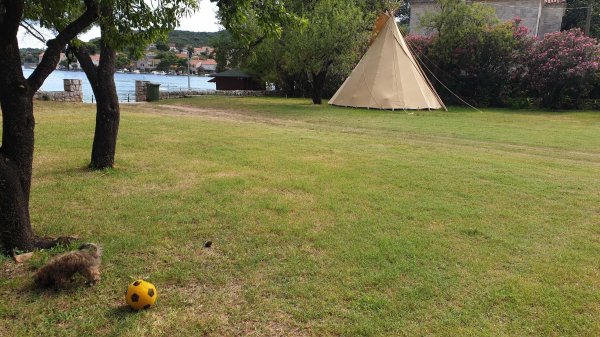 Camp Zaton — Photo 3