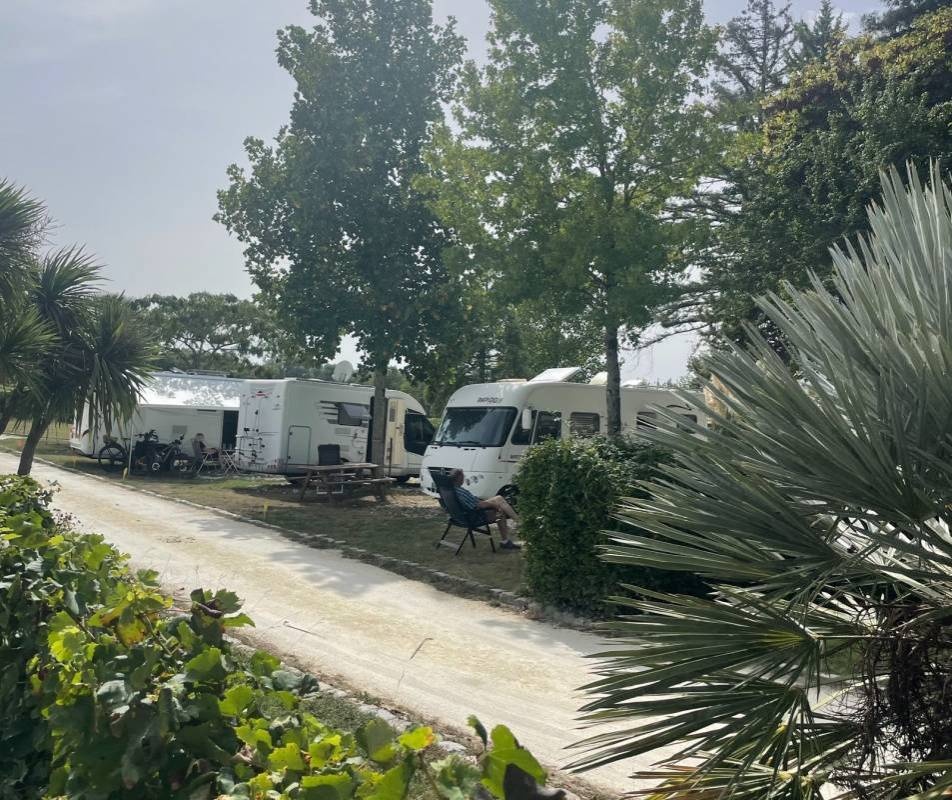 Stellplatz Blaye — Vinícola in Blaye