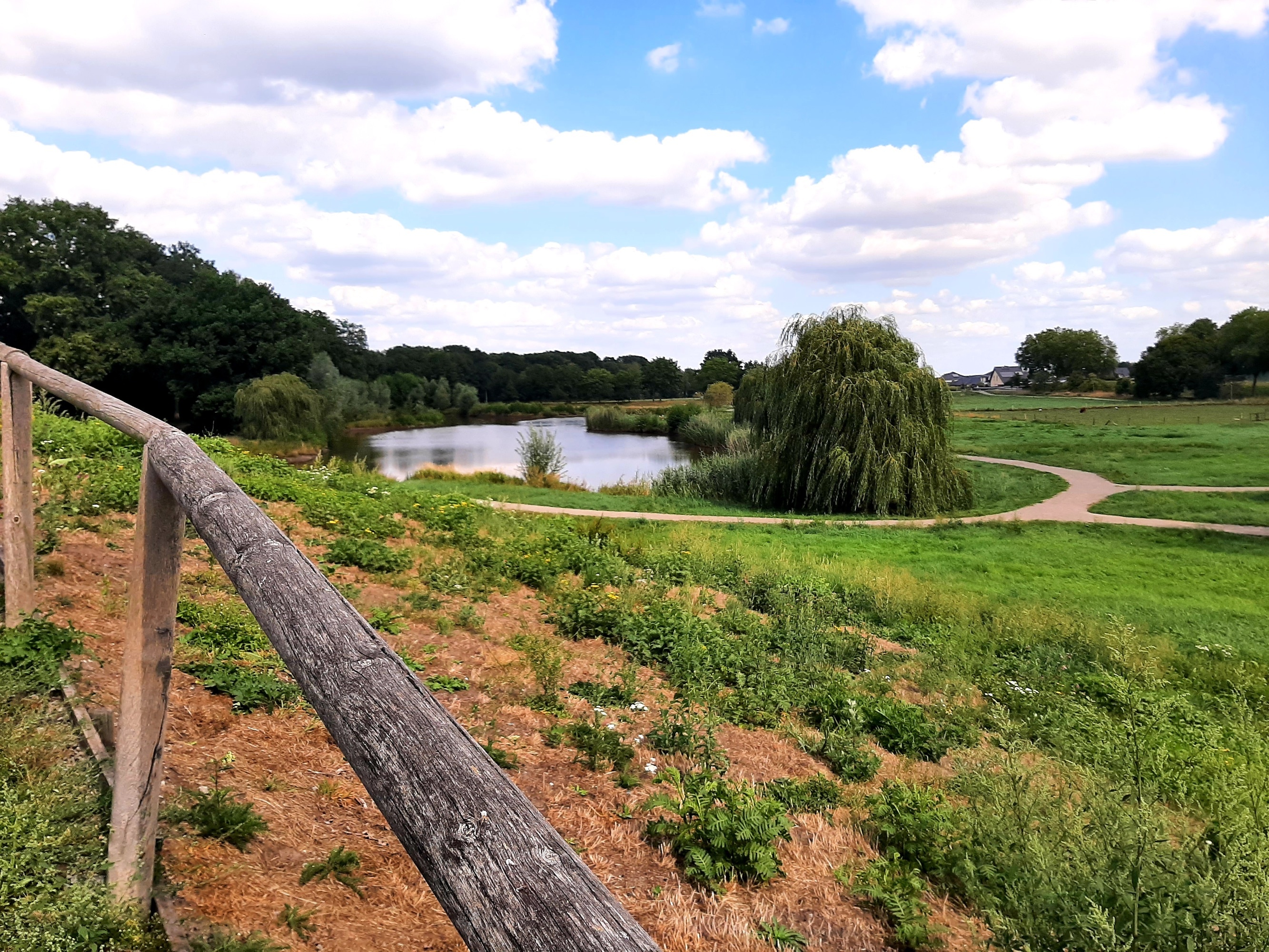 Stellplatz am Waldbad Steimbke — Aire camping car in Steimbke