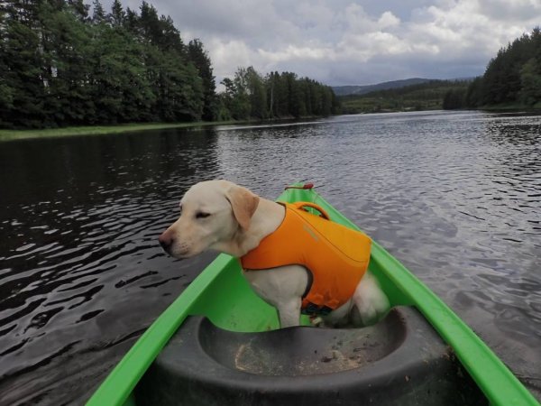 Sigridnes Aktivitet — Photo 3