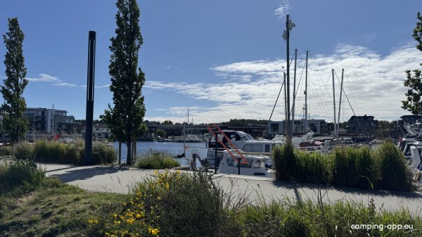 Buen Mandal — Photo 5