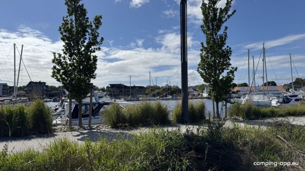 Buen Mandal — Photo 6