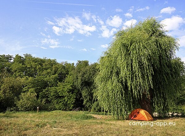 Camping de l'Ill — Fotografie 6