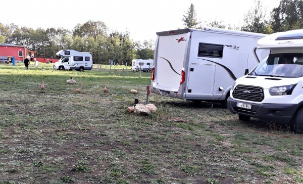 Stellplatz Am Bowlingtreff — Photo 3