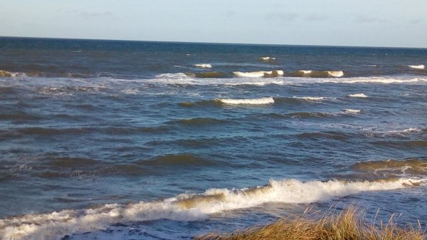 Hirtshals Camping — Photo 2