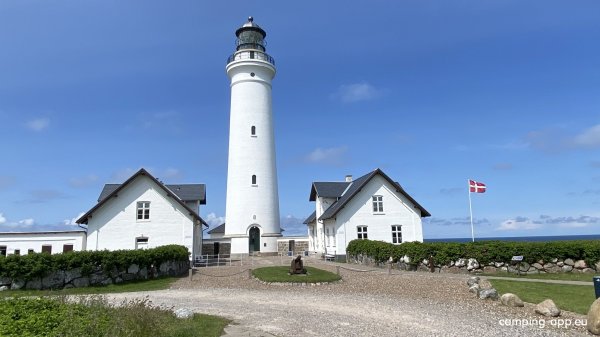 Hirtshals Camping — Foto 5