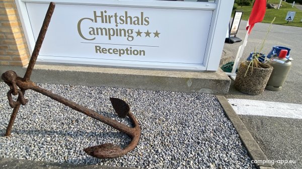 Hirtshals Camping — Foto 4