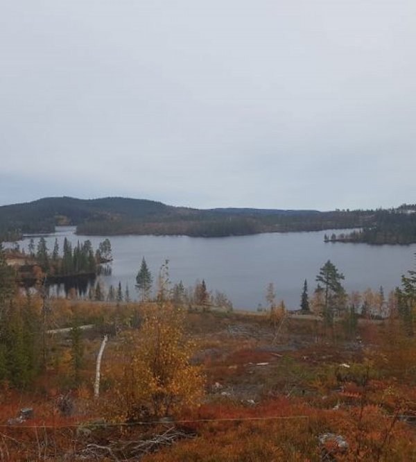 Høimyr Fjellcamping Fagerfjell — Photo 3