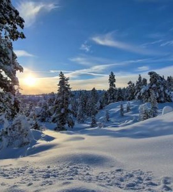 Høimyr Fjellcamping Fagerfjell