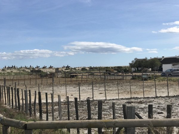 Stellplatz Saintes-Maries-de-la-Mer — Foto 5