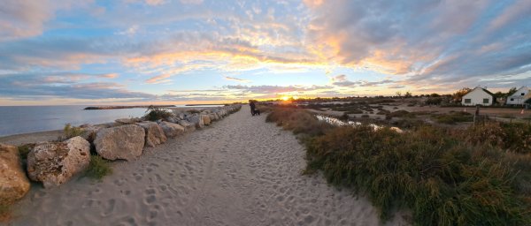 Stellplatz Saintes-Maries-de-la-Mer — Foto 3