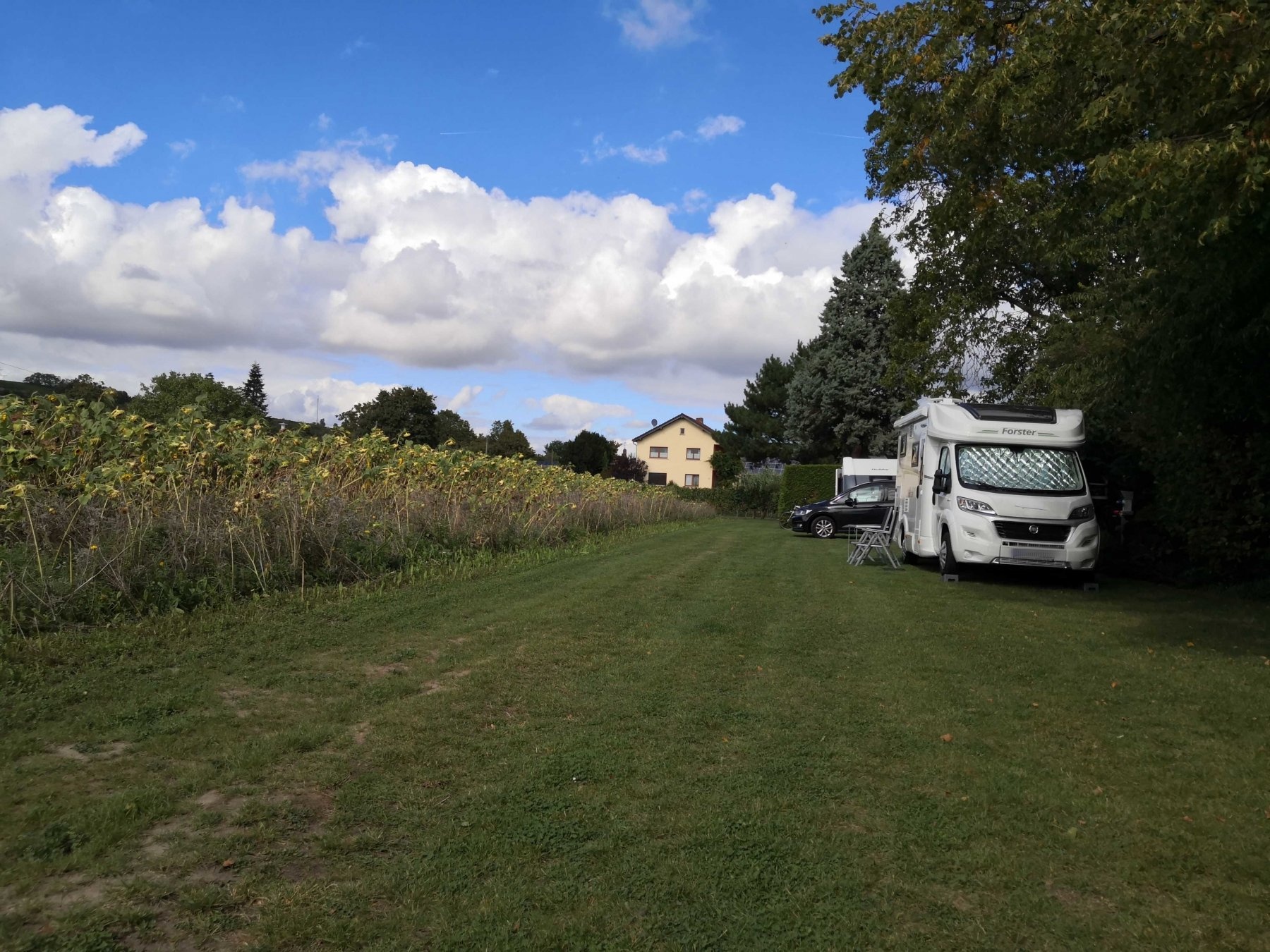 (geschlossen) Stellplatz Weingut Seilheimerhof — Weingut in Mettenheim