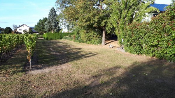 (geschlossen) Stellplatz Weingut Seilheimerhof — Photo 2