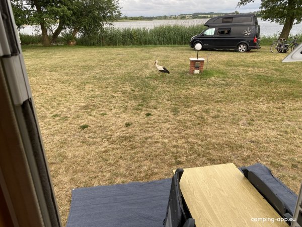 Camping Seeblick — Photo 5