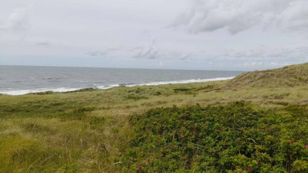 Campingplatz Westerland — Foto 3