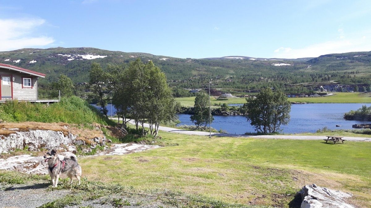 Garen Camping — Campingplads in Vøringsfoss