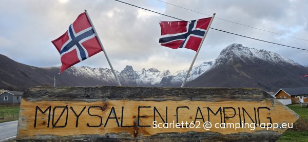 Møysalen Camping — Photo 5