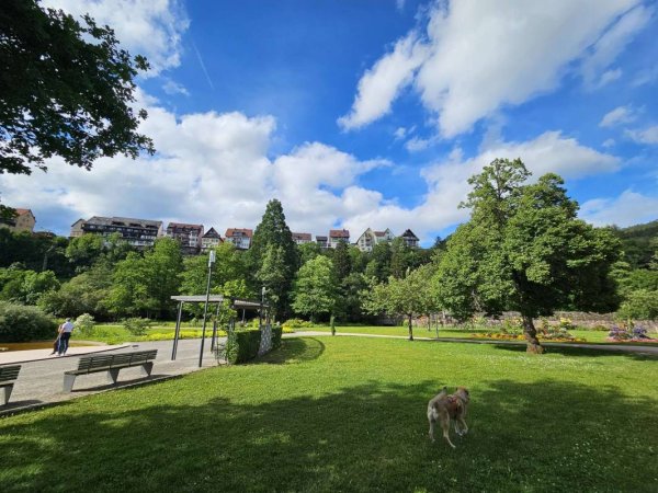 Wohnmobilstellplatz Kloster Reutin