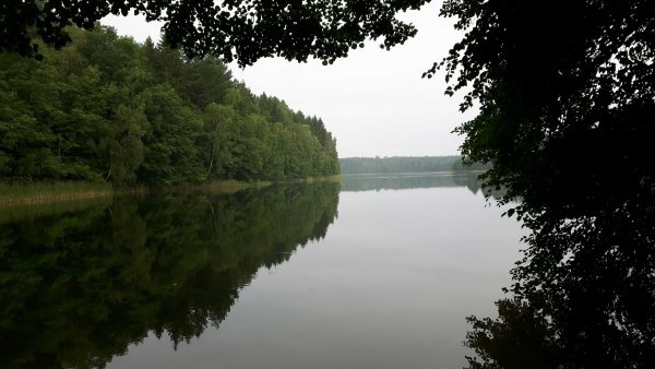 Camping Oase Waldsee — 露营地 in Neu Poserin