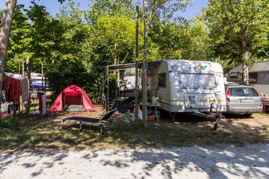 Camping Europa — Kemping in Torre del Lago Puccini